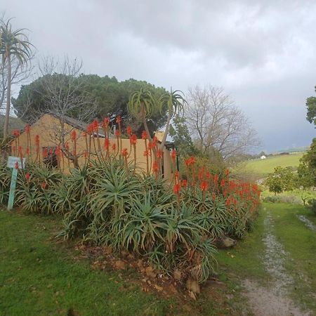 Swaynekloof Farm Villa Botrivier Bagian luar foto