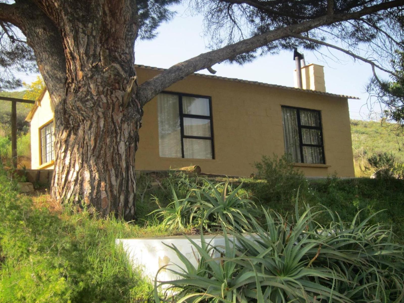 Swaynekloof Farm Villa Botrivier Ruang foto