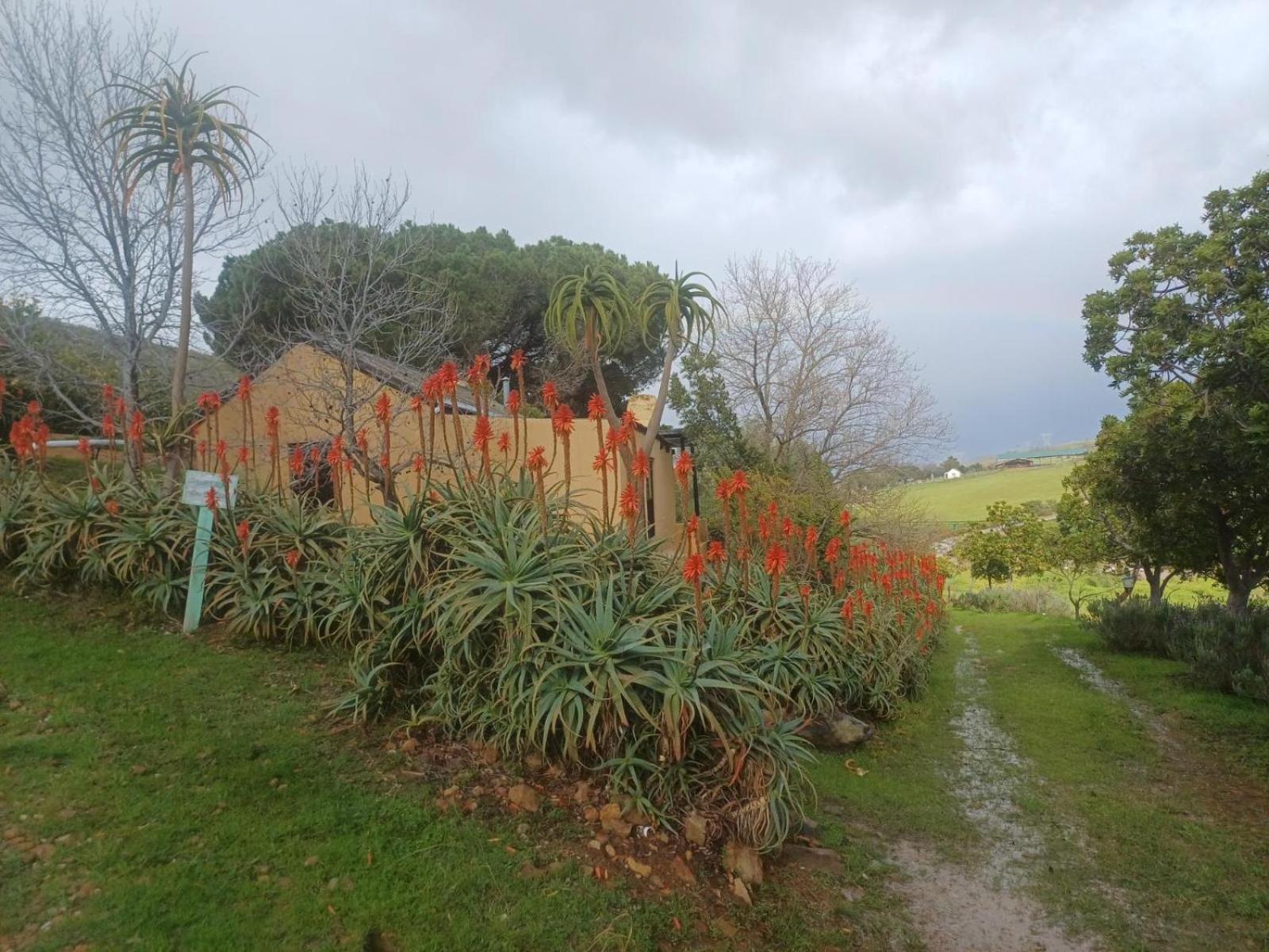 Swaynekloof Farm Villa Botrivier Bagian luar foto